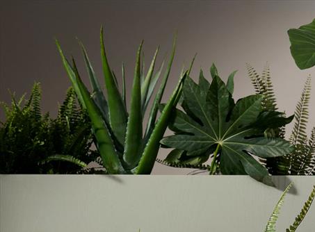 What is biophilic design - and does it really benefit staff?