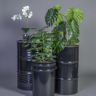 Artificial Plants