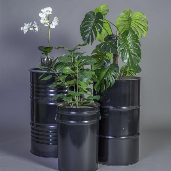 Artificial Plants
