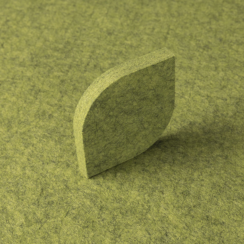 Acoustic Features