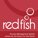 Red Fish Systems Limited